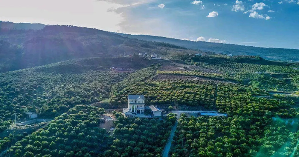 工业园区周边环境。黄丽涛摄