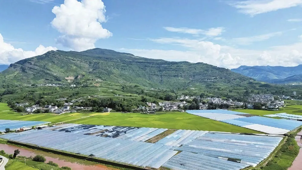 园区周边村落环境-2024年8月25日-黄丽涛摄