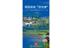 丽江视点｜同频奔赴“好光景”——丽江“守底线稳支撑增动力上台阶”的县（区）实践