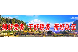 税惠赋能 服务添力 ——丽江税务部门助力企业向新发展侧记
