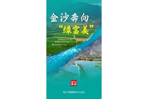 丽江视点 | 金沙奔向“绿富美”
