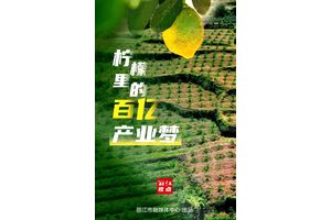 丽江视点 | 柠檬里的百亿产业梦