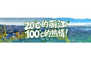 丽江松茸价格回落