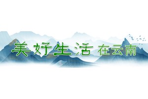 谷雨，饮一杯无量好茶｜有一种叫云南的生活之365天