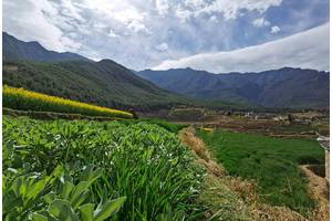 丽江radio【社会主义核心价值观  诚信】——村寨银行让村民诚信守护绿水青山