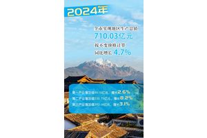 增增增！丽江经济稳中有进！