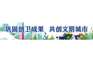珍稀食用菌品种“云鸡枞”亮相丽江古城