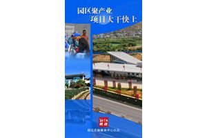 丽江视点｜园区聚产业，项目大干快上