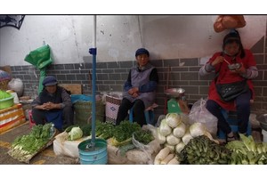 丽江radio——听瓜子说：忠义市场 丽江的一碗人间烟火