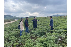 彭识：用科技之光照亮高寒山区致富路