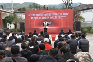 唱响中国经济“光明论”| 首笔“绿美贷”发放，“1+2+3”金融服务模式提升丽江经济发展含“绿”度