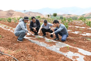 丽江探索果园林下经济发展新路径 全市计划建设5个示范基地